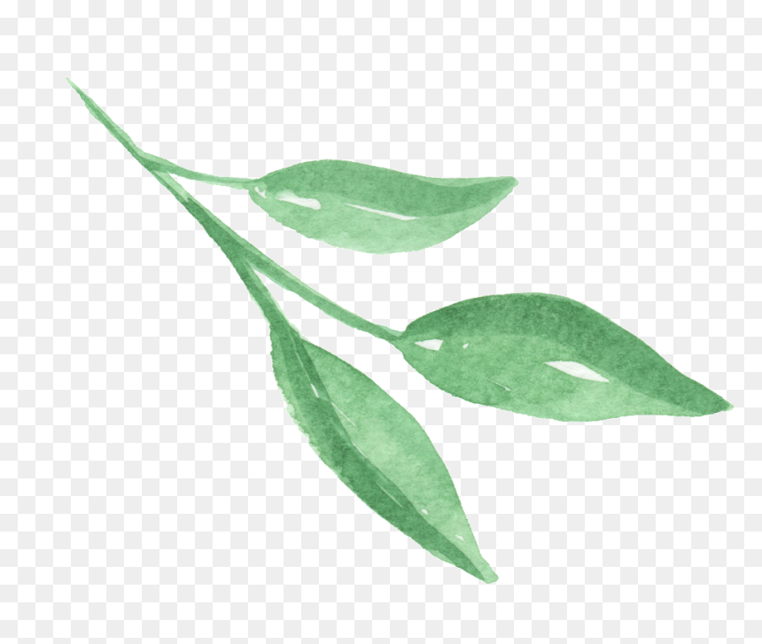 Three Pieces Of Bright Green Leaves Transparent Png - Russian Olive, Png Download - leaves transparent png