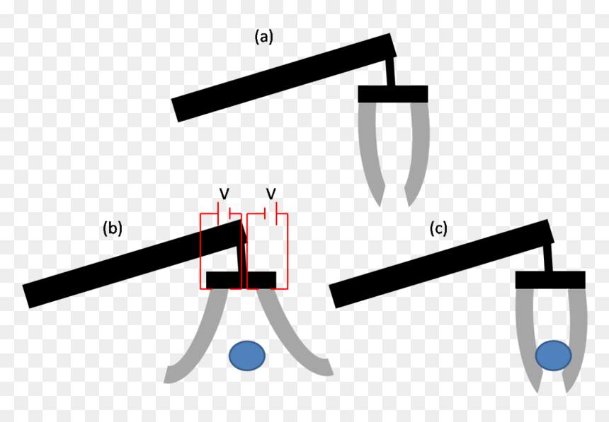 File - Eap-example2 - Electroactive Polymers, HD Png Download - seesaw png