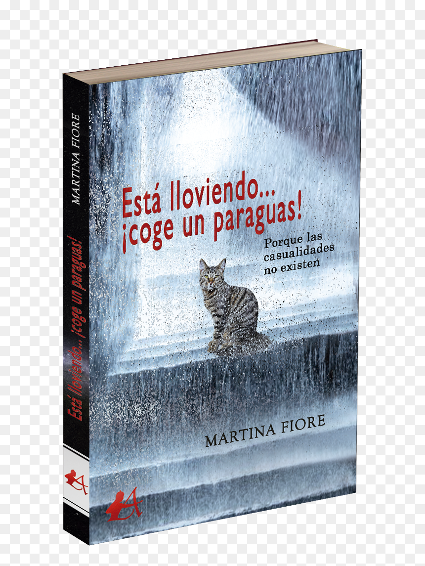 British Shorthair, HD Png Download - destellos png efectos luminosos