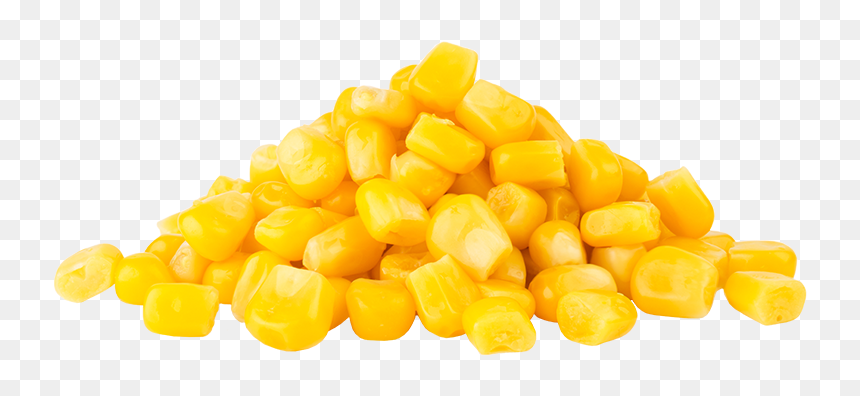 Maiz - Corn Kernels, HD Png Download - maiz png