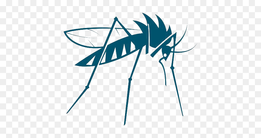 Mosquito Insect Vector Bed Bug - Mosquito Net Vector Png, Transparent Png - mosquito silhouette png