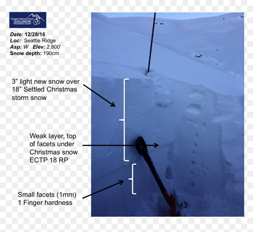 Christmas Snow Is Slowly Stabilizing In The Upper Seattle - Snow, HD Png Download - snow on the ground png