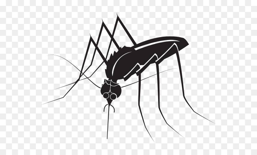 Mosquito Insect, HD Png Download - mosquito silhouette png