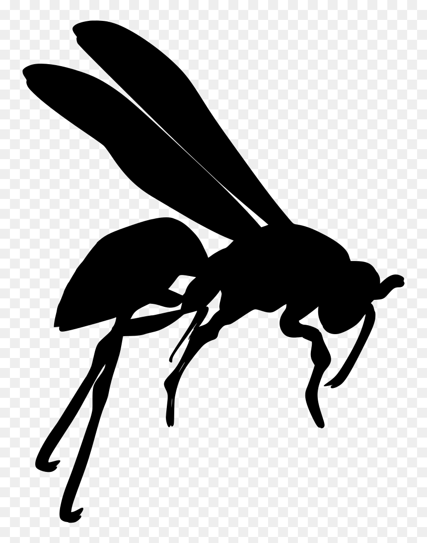 Wasp Silhouette, HD Png Download - mosquito silhouette png