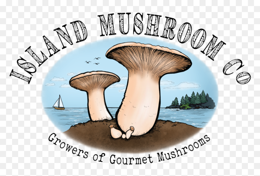 Website Logo - Mushrooms Company, HD Png Download - shrooms png