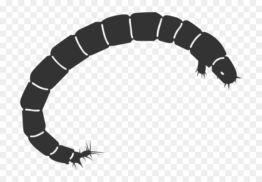 Mosquito Clipart Midge - Mosquito Larvae Png, Transparent Png - mosquito silhouette png