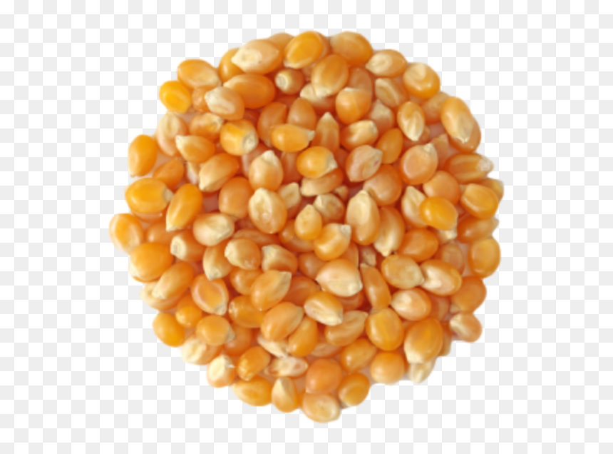 Popcorn - Starches, HD Png Download - maiz png