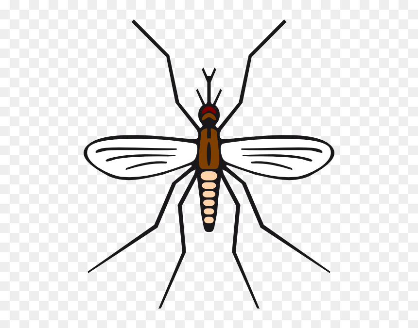 Mosquito In Brown Color Clip Art At Clker Com - Mosquito Black And White Clipart, HD Png Download - mosquito silhouette png