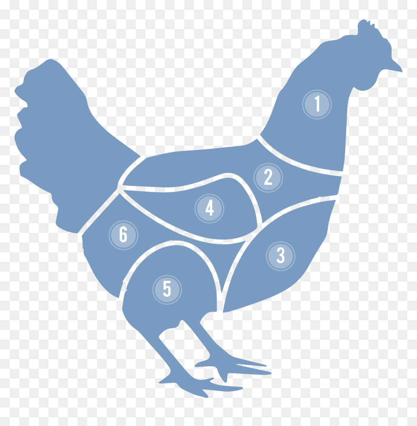 Transparent Gallina Png - Cortes De La Gallina, Png Download - gallina pintadita png