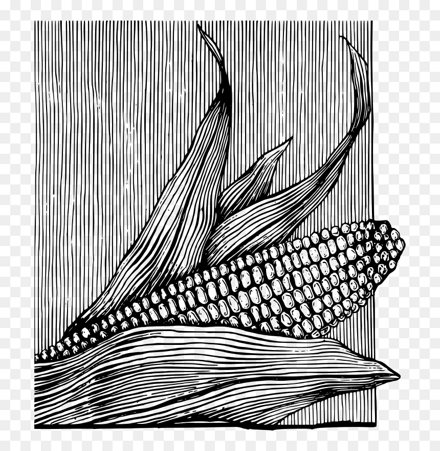Free Corn On The Cob, HD Png Download - maiz png