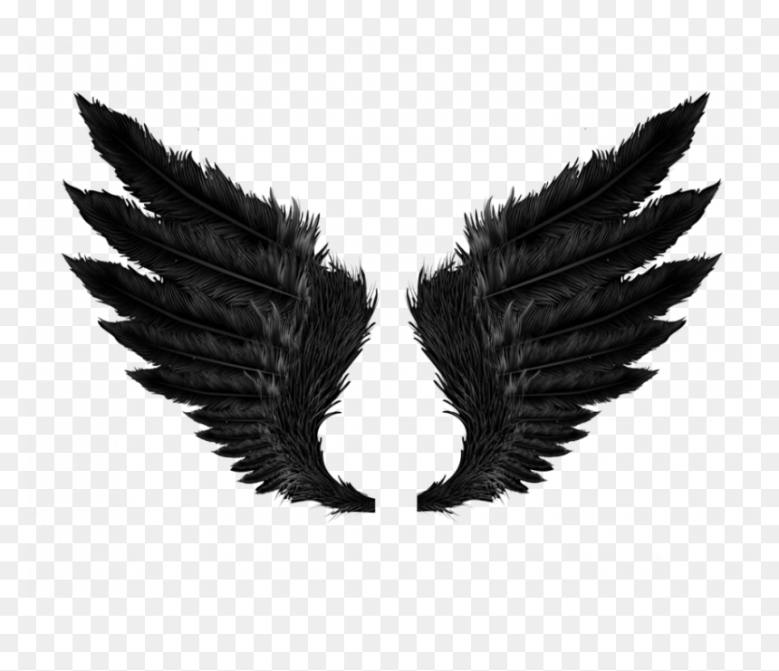 Black Angels Wings Png - Wing Png, Transparent Png - blue wings png