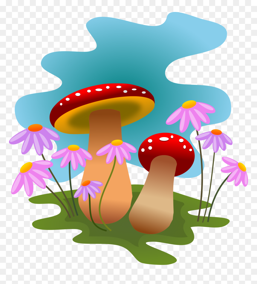 Funky Mushrooms Digital Clipart Image Library Mushrooms - Clipart Mushroom, HD Png Download - shrooms png