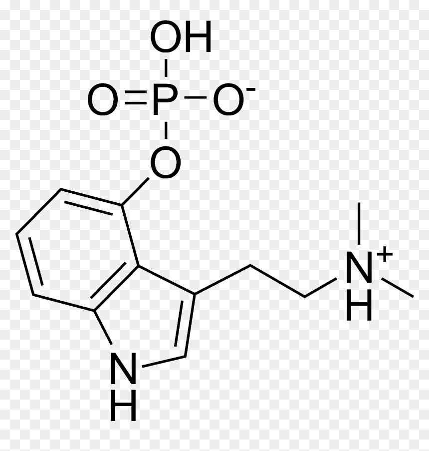 Shrooms For Mental Health, Alternative Medicine & - 4 Aco Dmt Molecule Png, Transparent Png - shrooms png