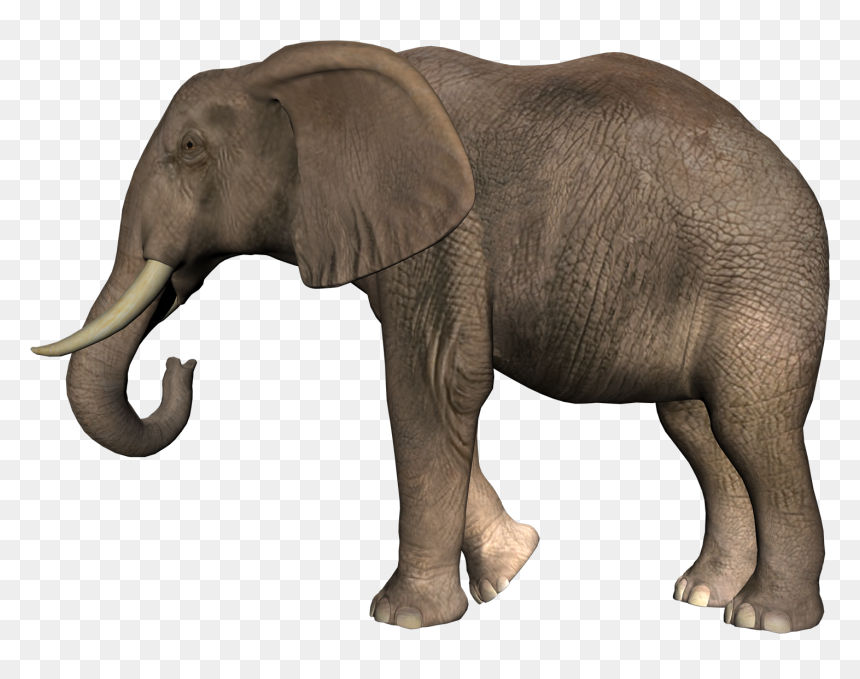 Слон Клипарт, HD Png Download - elephant png