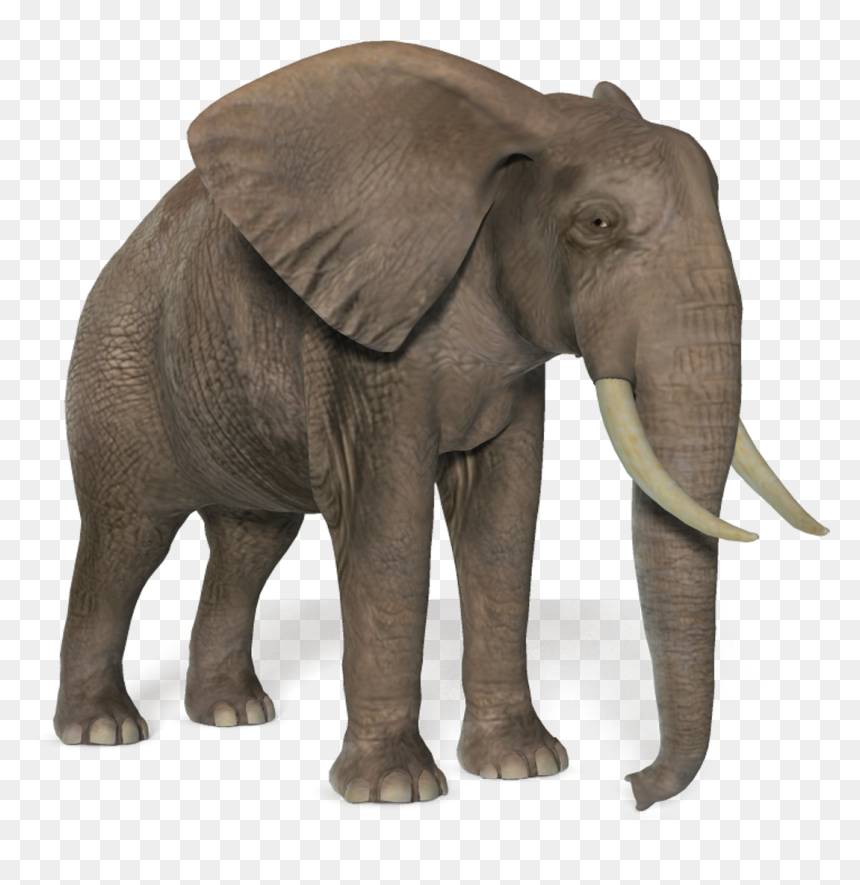 African Bush Elephant Png, Transparent Png - elephant png
