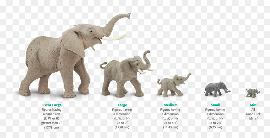 Elephant Safari Ltd, HD Png Download - elephant png