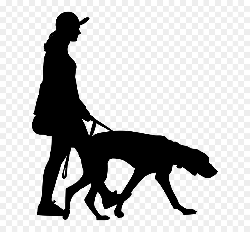 Silhouette Walking Dog Women People Full - Walking People Png Silhouette, Transparent Png - people walking png