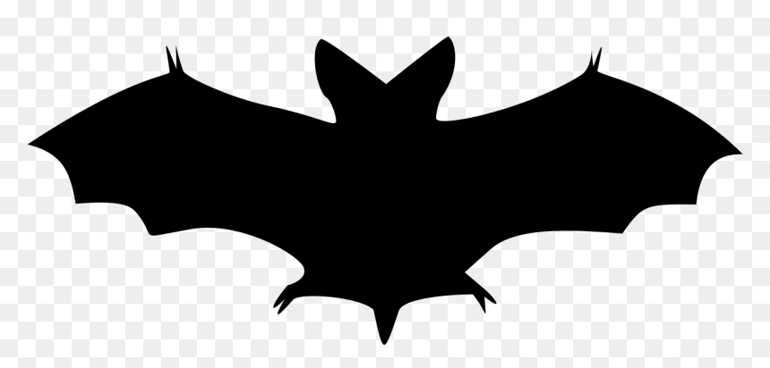 Halloween Bat Clipart, HD Png Download - bat png