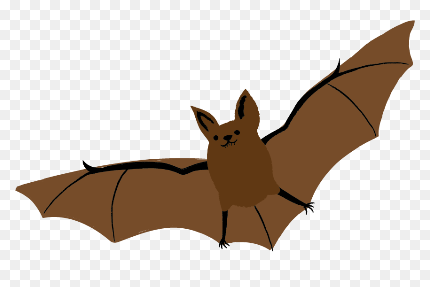 Little Brown Myotis, HD Png Download - bat png
