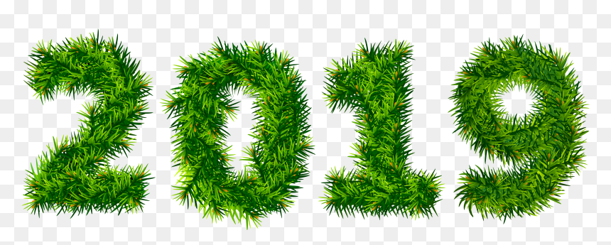 Christmas Tree 2019 Png, Transparent Png - pine tree png