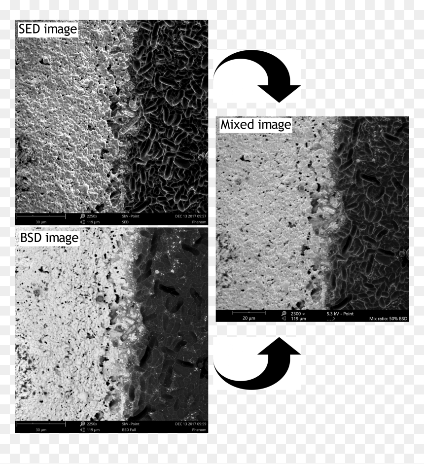 Monochrome, HD Png Download - particles png