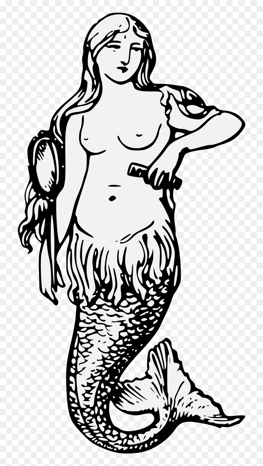 Mermaid In Heraldry, HD Png Download - mermaid png