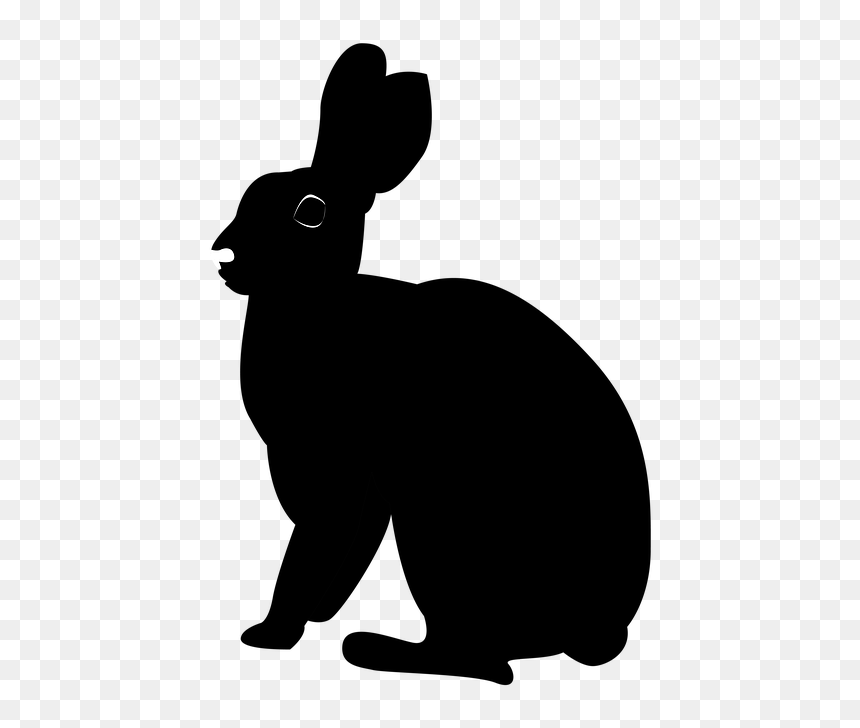 Animal With Shadow Clipart, HD Png Download - silhouette png