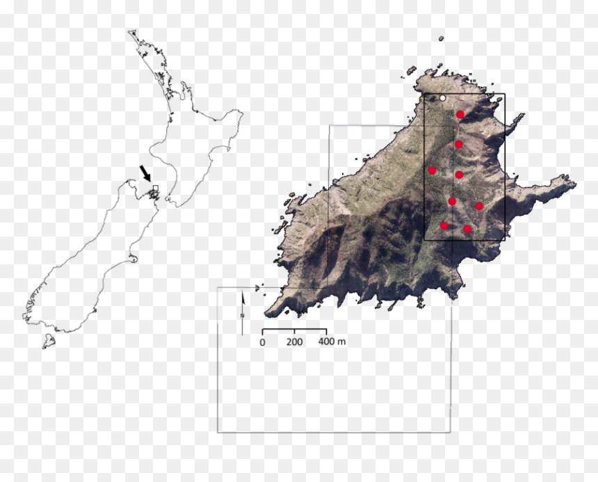 Map, HD Png Download - north arrow png