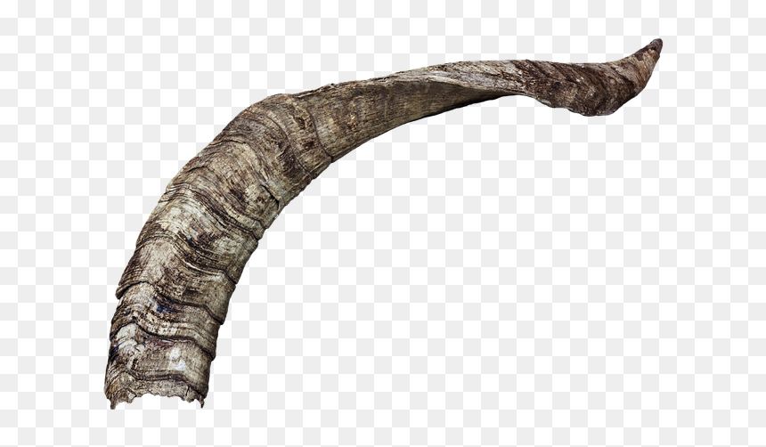 Transparent Background Goat Horn Png, Png Download - devil horns png