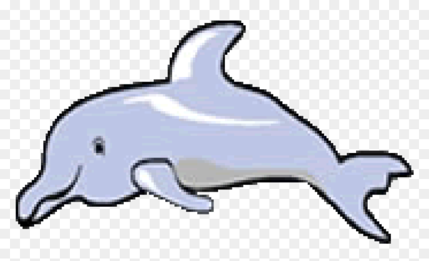 Tucuxi, HD Png Download - dolphin png
