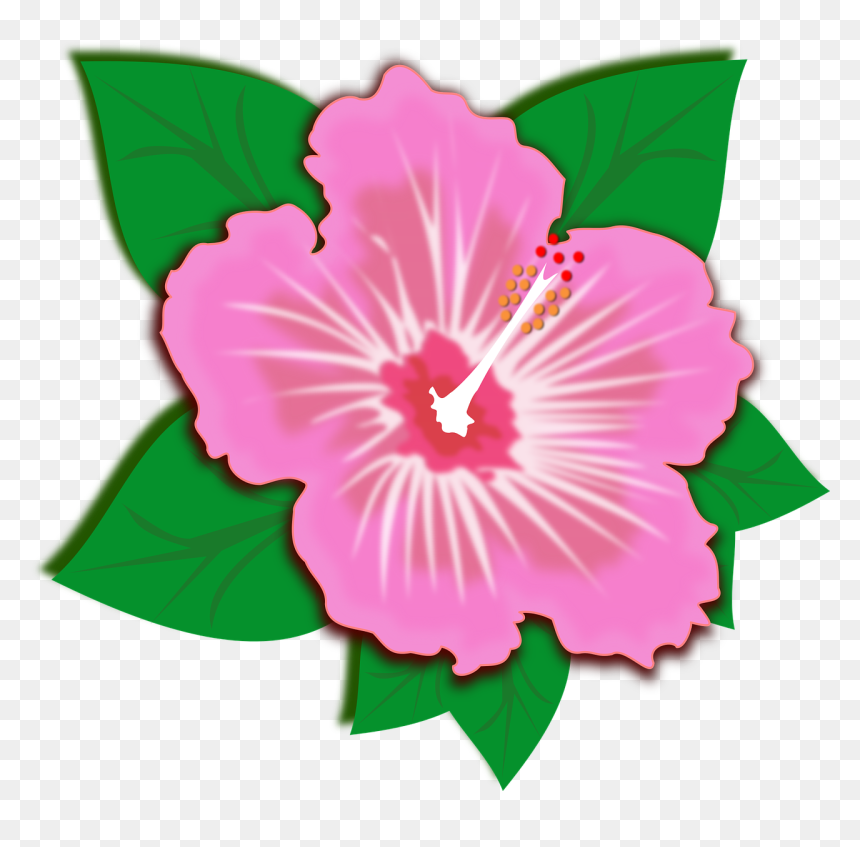 Flor Png, Transparent Png - flores png