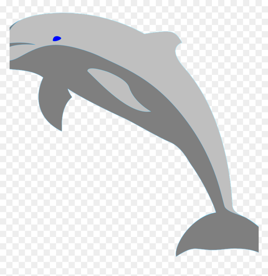 Dolphin Png, Transparent Png - dolphin png