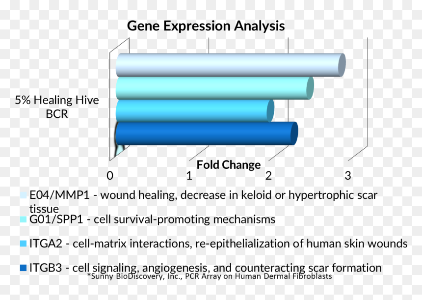 Diagram, HD Png Download - scar texture png