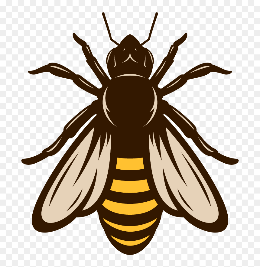 Bee, HD Png Download - bowl of cheerios png