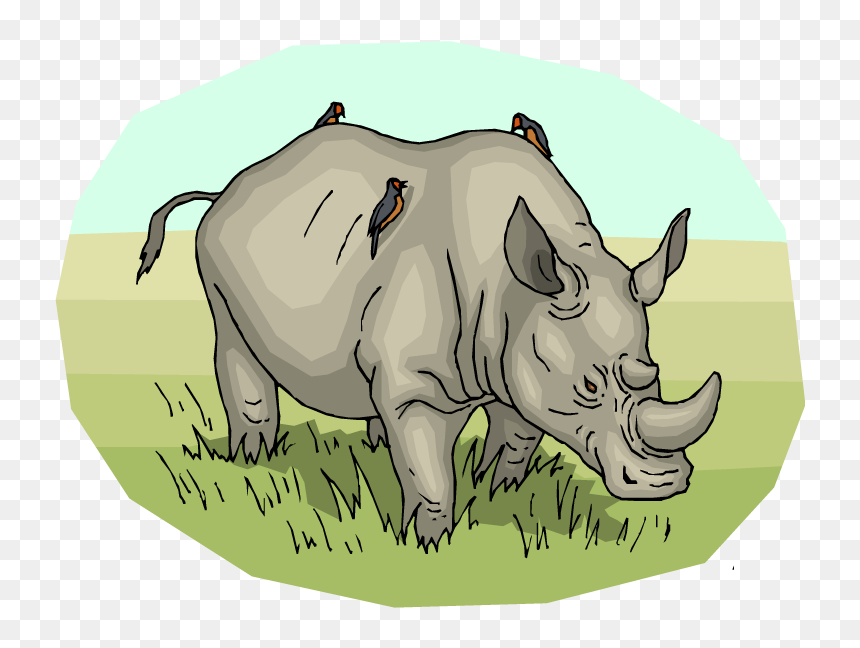 Black Rhinoceros, HD Png Download - throw blanket png