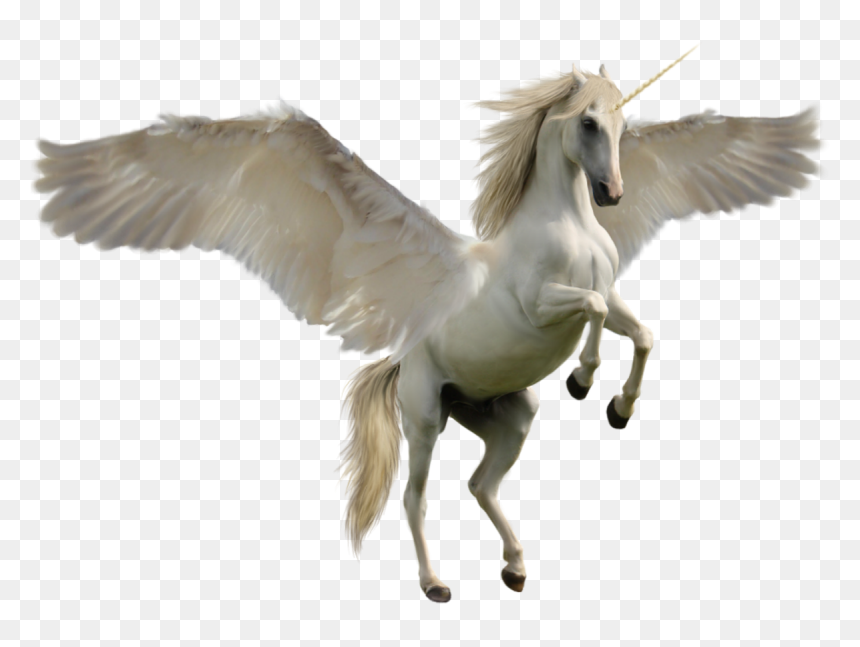 Unicorn Horse, HD Png Download - flying unicorn png