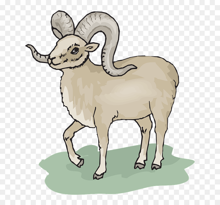 Big Horned Sheep Cartoon, HD Png Download - lamb clipart png