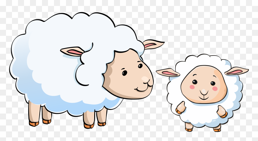 Sheep And Lamb Cartoon, HD Png Download - lamb clipart png