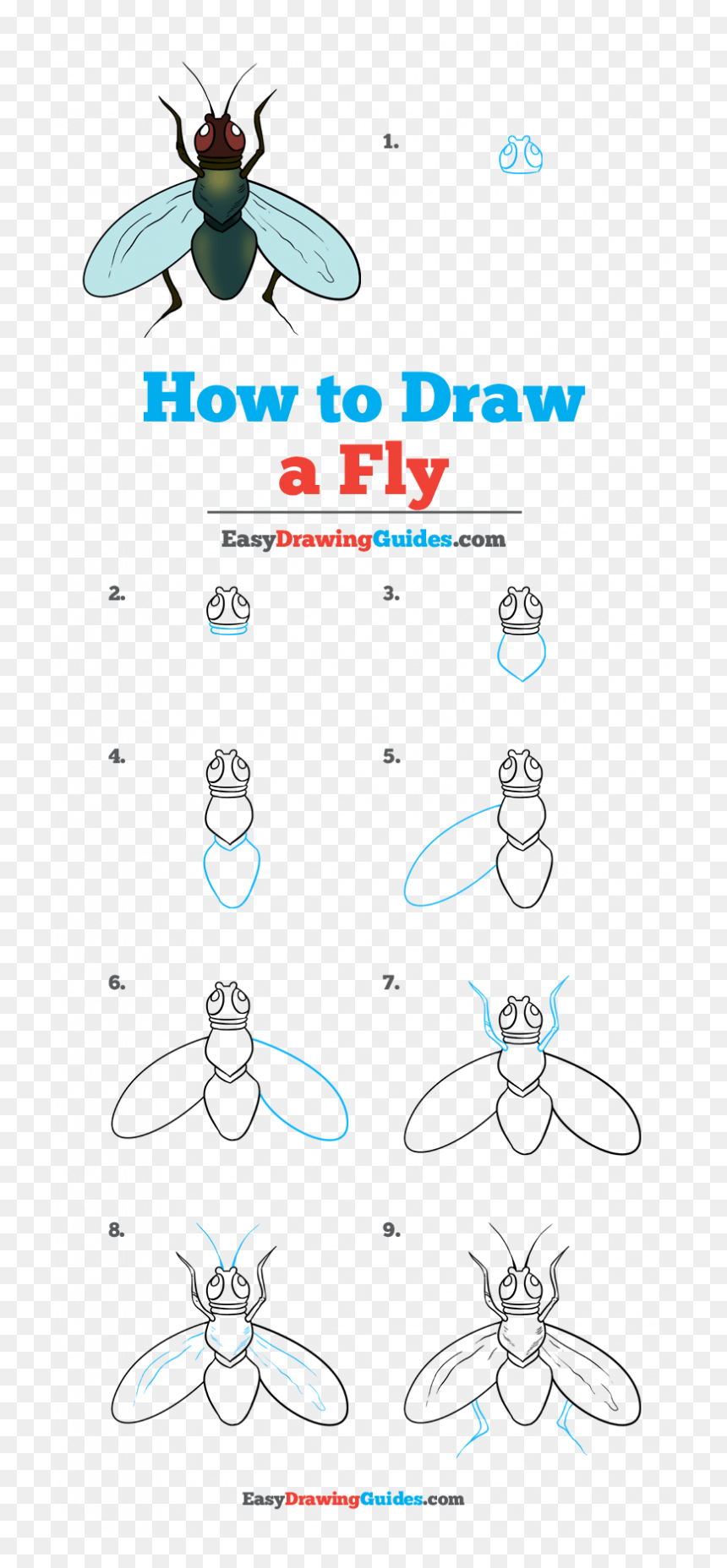 Nobody All Alone By Yourself, HD Png Download - flying unicorn png