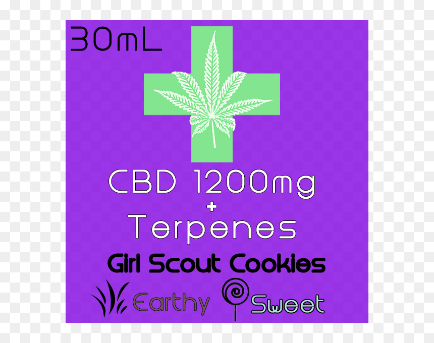 Graphic Design, HD Png Download - girl scout cookies png