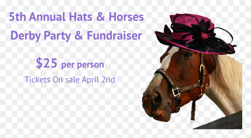 Sorrel, HD Png Download - kentucky derby hat png