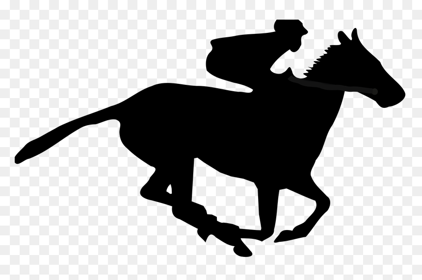 11 August International Day, HD Png Download - kentucky derby hat png