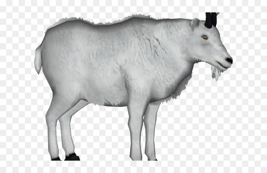 Transparent Background Goat Clipart, HD Png Download - goat clipart png