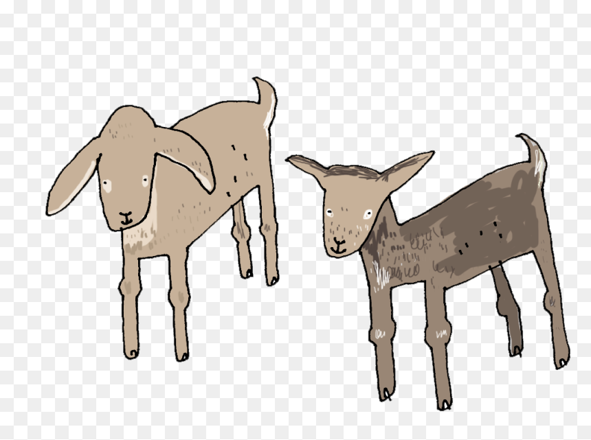 Goat, HD Png Download - goat clipart png