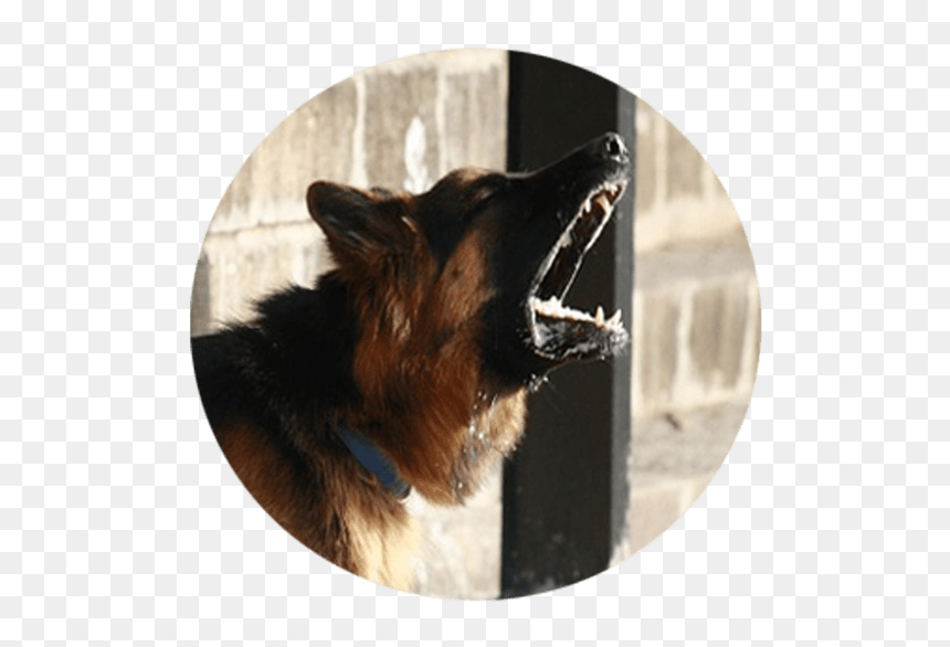 German Shepherd Holding, HD Png Download - dog barking png