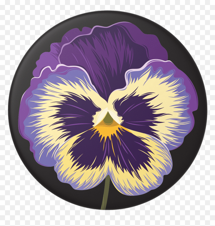 Pansy, HD Png Download - pansy png