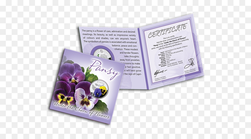 Pansy, HD Png Download - pansy png