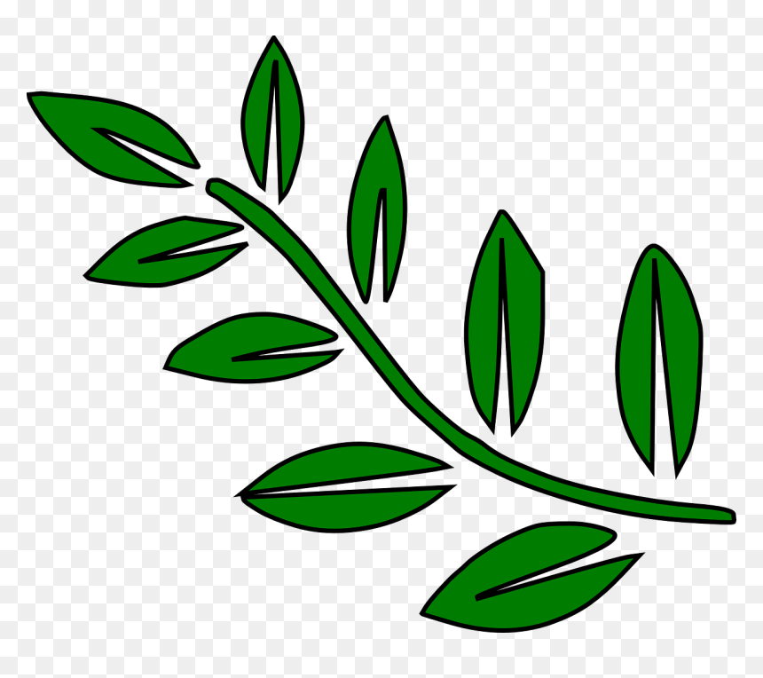 Leaves On A Branch Clip Art, HD Png Download - olive branches png