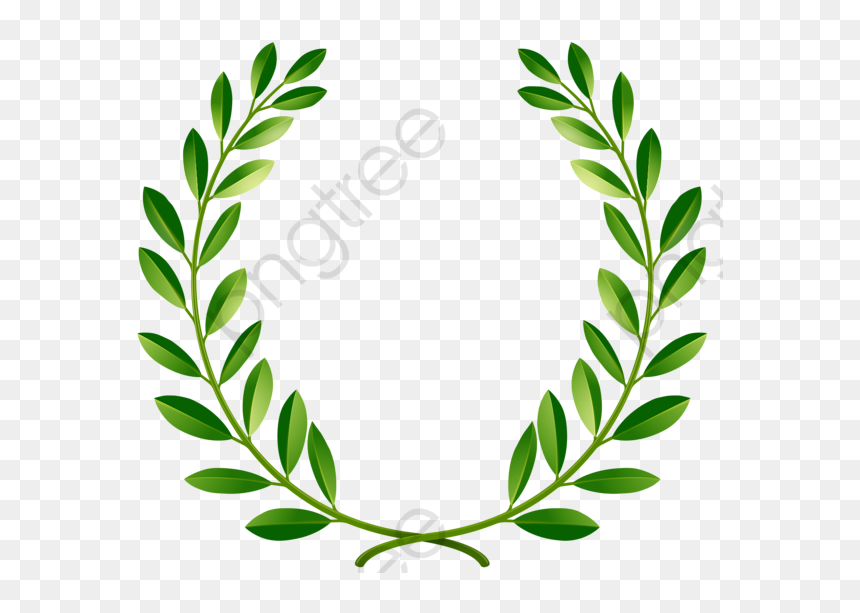Green Laurel Wreath Png, Transparent Png - olive branches png