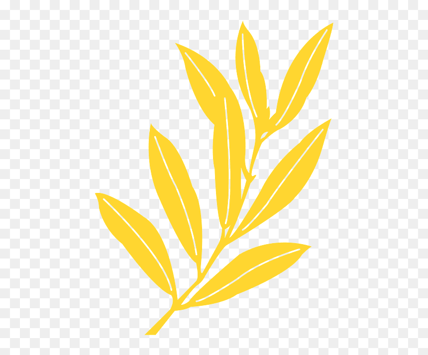 Olive Branches Png, Transparent Png - olive branches png